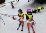 IMG_20250127_103139.jpg