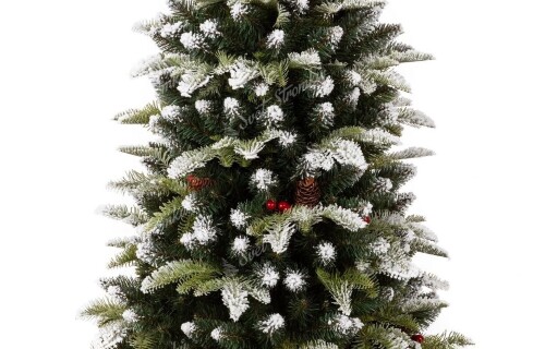 Slavnostní rozsvícení vánočního stromu